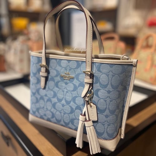 حقيبة كوتش مولي توت سمول فوري