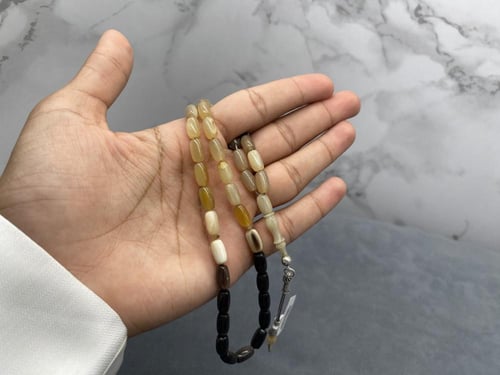 وحيد قرن صنوبري