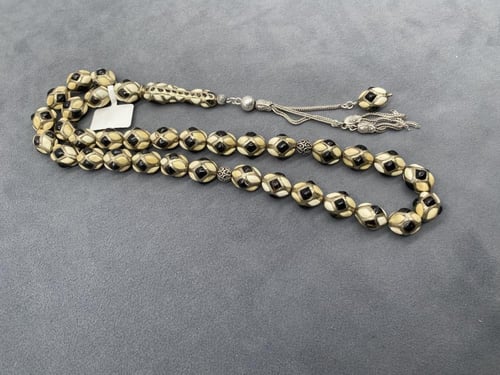 قفص فضة فنتج