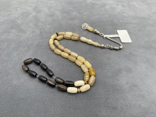 وحيد قرن صنوبري