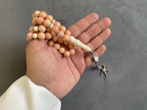 سبحة الصدف و الفقمة