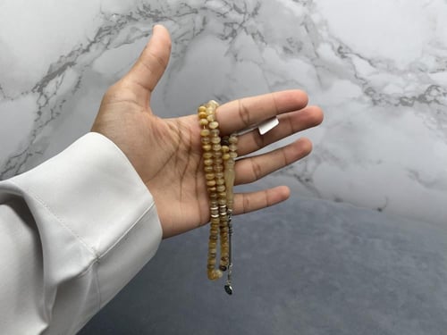 وحيد قرن ذروي