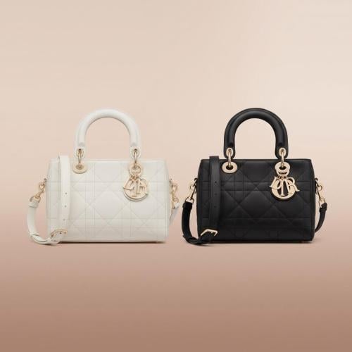 Dior bag Granville