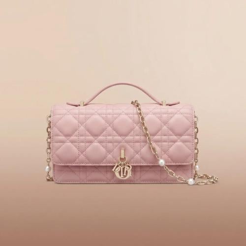 Dior bag size 21cm