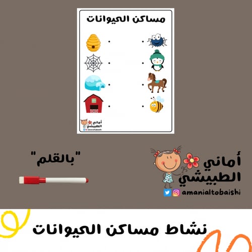 حقيبة الأنشطة