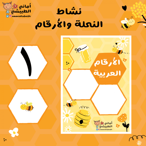 حقيبة الأرقام