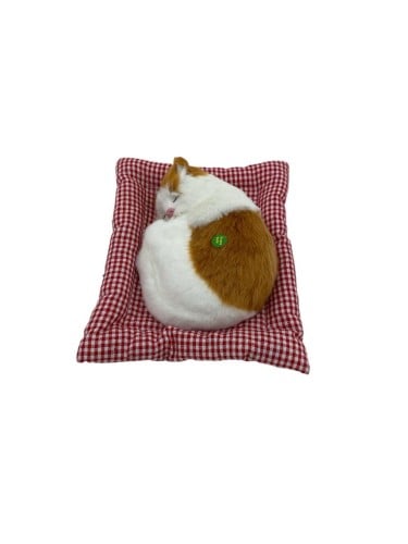 قطة كبير شكل 3