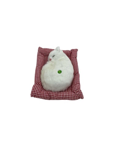 قطة كبير شكل 1