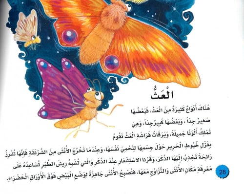 اكتشف عالم الفراشات