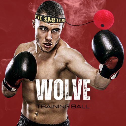 كرة التدريب | Training ball