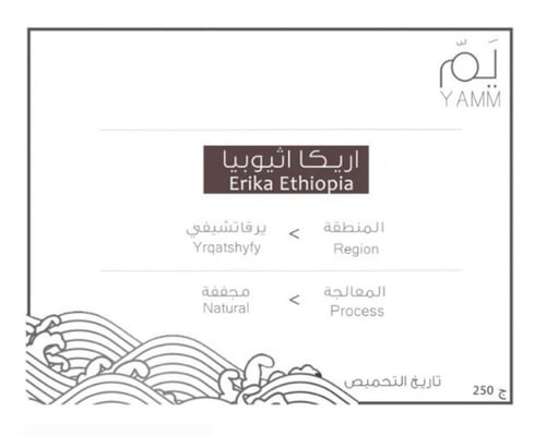 اريكا اثيوبيا