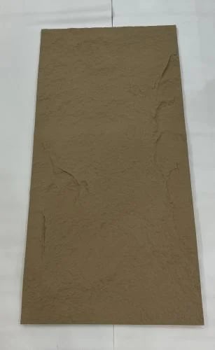 بديل الحجر C6