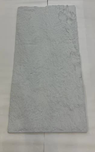 بديل الحجر C2