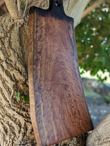 Sakura / لوح تقديم