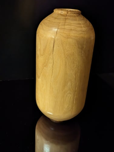 The Capsule / الكبسولة