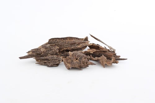 عود جنوب تايلاند تربل