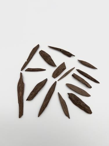 عود فلبيني ليتي