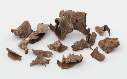 زوايا فتنامي دبل وتربل جبلي