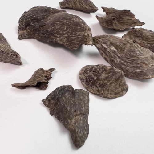 ماليزي اندروتر ( غطاس )