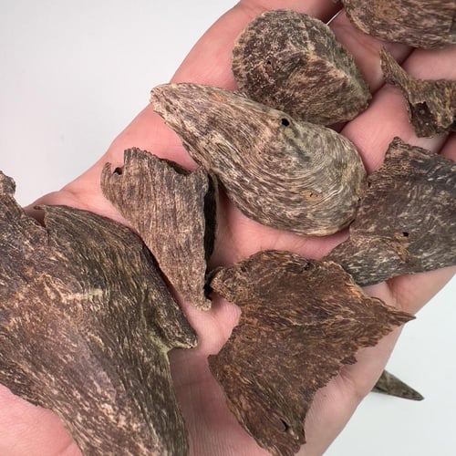 ماليزي اندروتر ( غطاس )