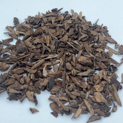 فلبيني دقة دبل