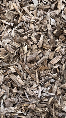 عود كلمنتان سوبر وسوبر مرتفع