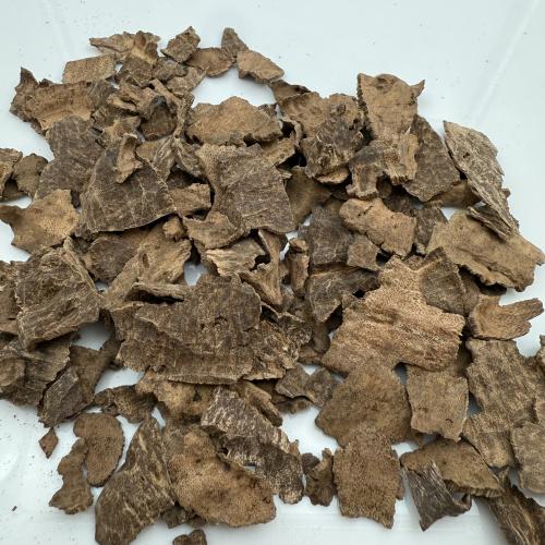 جار فتنامي دبل VIP