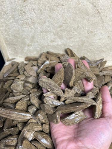 عود مروكي محسن كسر وسط