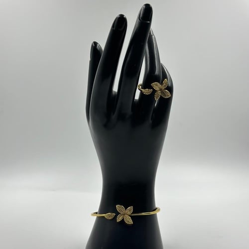 طقم جارديني