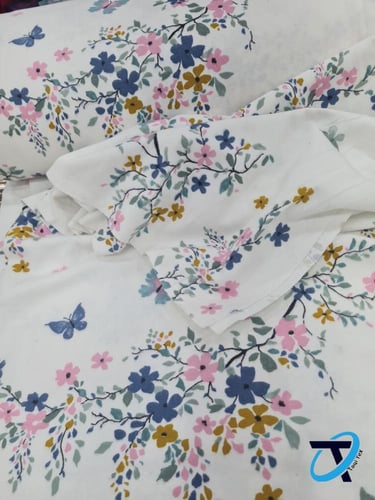 الفراشات الجميلة