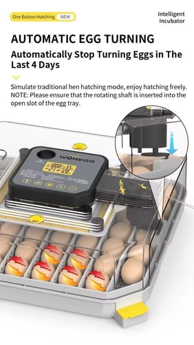 فقاسة 48 بيضة برو تعبئة ذاتية للماء