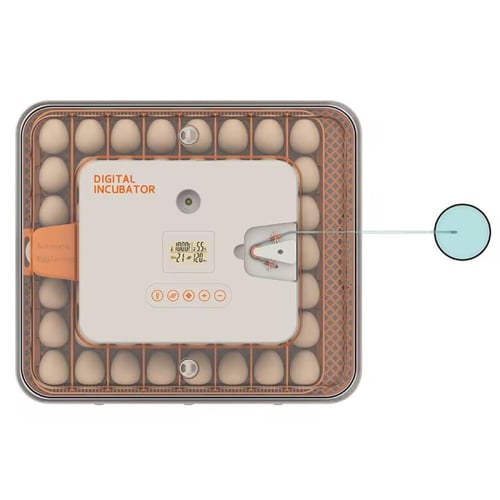 فقاسة 56 بيضة تعبئة ذاتية للماء