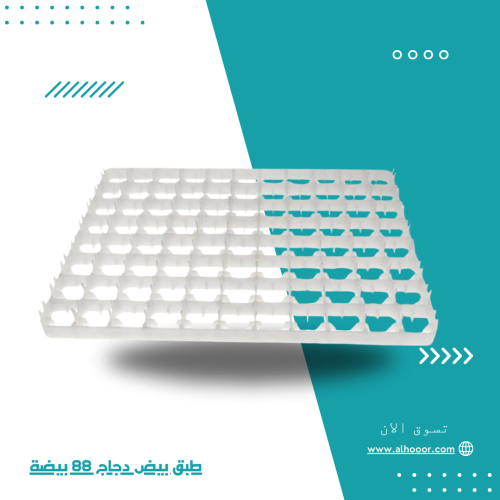 طبق بيض دجاج 88 بيضة