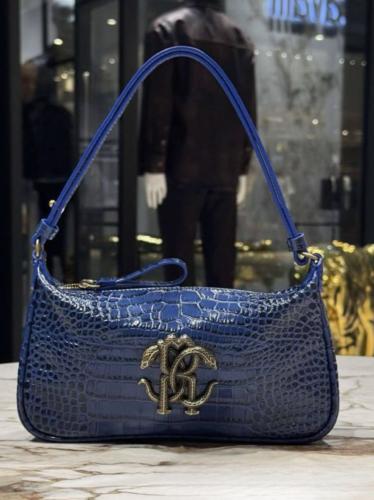 روبيرتو كفالي | Roberto Cavalli