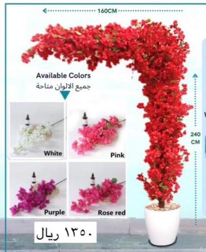 شجرة جهنمية