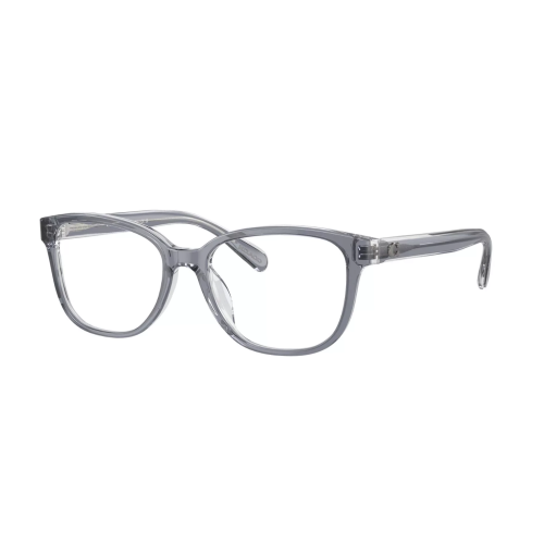 Coach Frame