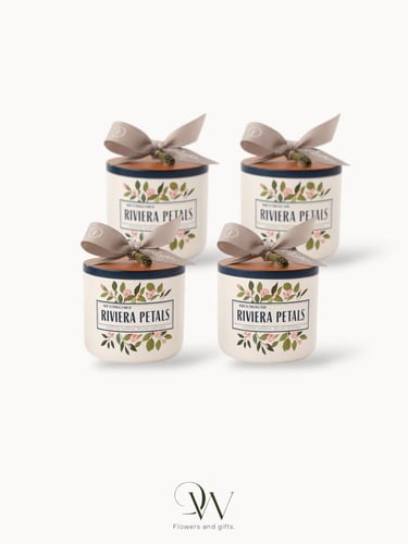 شموع باث اند بودي لمسة شتوية