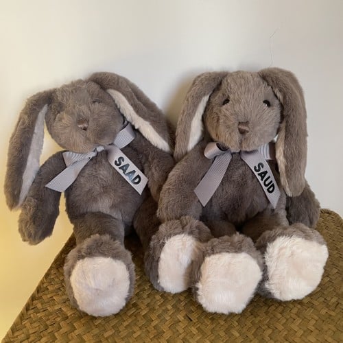 ارنب بالاسم