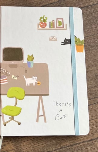 دفاتر القطة رقم h3