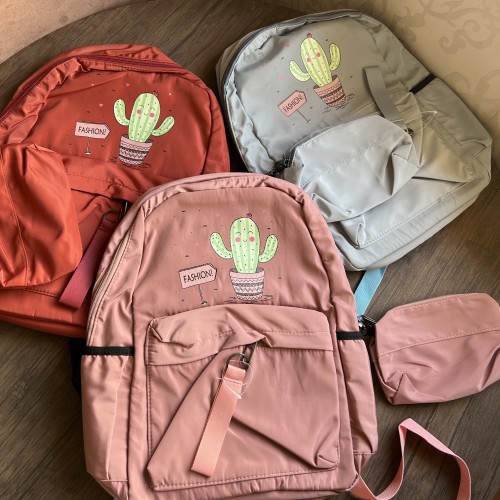 شنطة برسمة صبار رقم h28