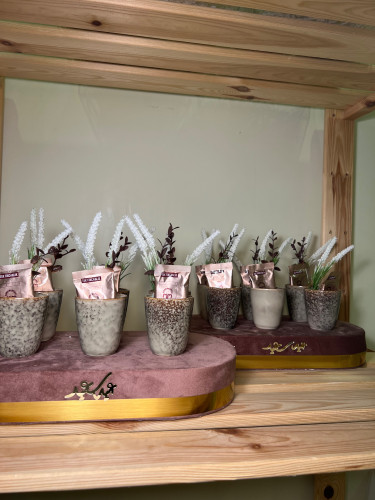 ستاند اكواب مع قهوة رقم المنتج رقم 629