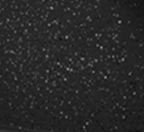 جويل قدر بغطاء مطلي بالسيراميك مقاس 18 سم 1.4 لتر