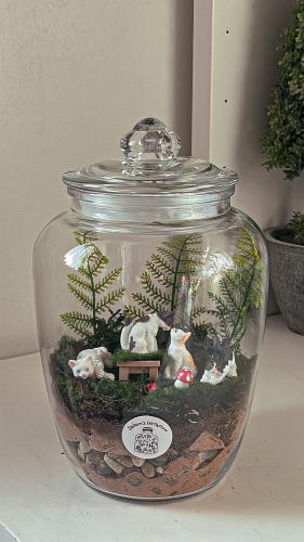Cats forest
