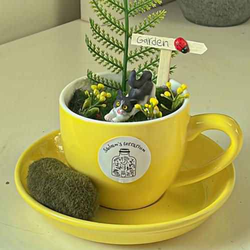 Yellow cup garden