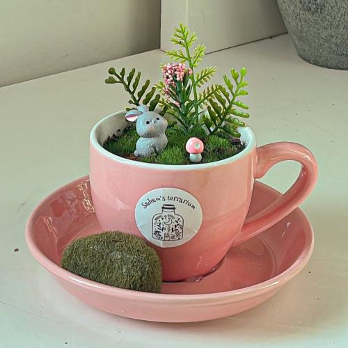 Pink cup garden