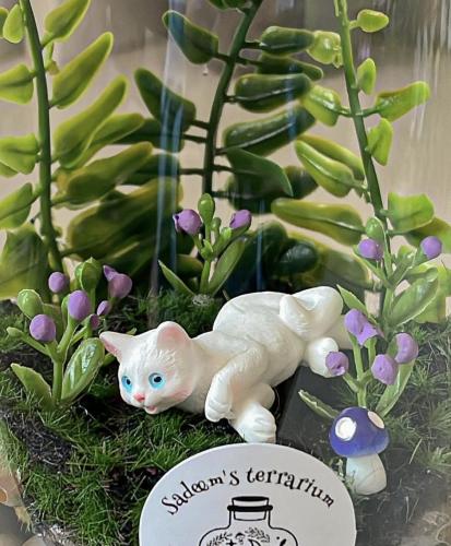 ورود بنفسجي