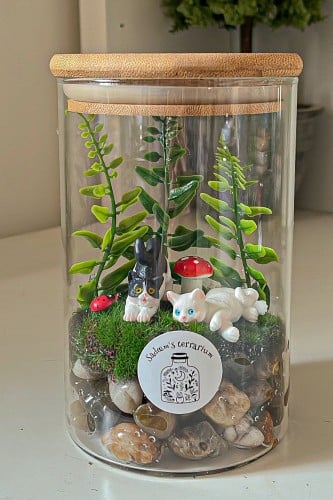 Kitties terrarium