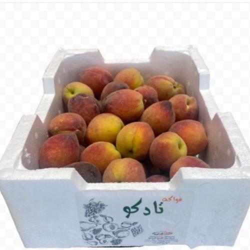 خوخ بلدي كرتون