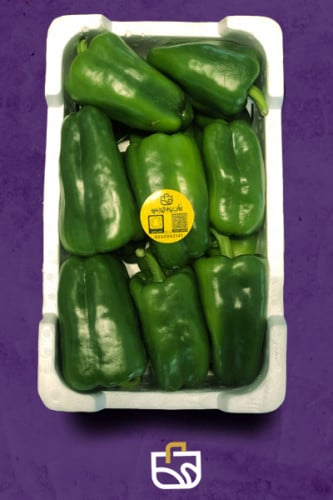 فلفل بارد اخضر فلين كبير