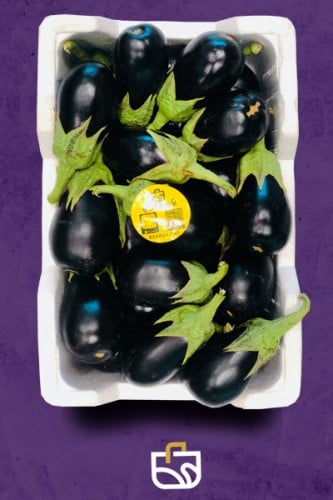 باذنجان اسود فلين كبير